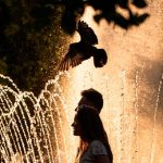 Europe’s Melting Point: Heatwave Unleashes Chaos, Reveals Hidden War Legacies