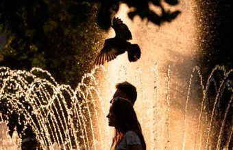 Europe’s Silent Cull: Record Heatwaves Expose Flaws in a Fragile Continent