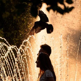 Europe’s Silent Cull: Record Heatwaves Expose Flaws in a Fragile Continent
