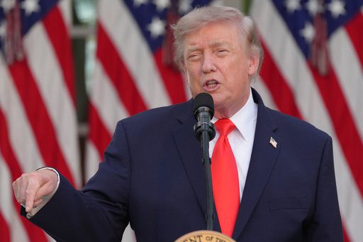 Digital Tax Duel: Trump’s Tariff Shot Ignites Global Trade Spat, Sovereign Revenue at Stake