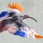 Japan’s Imperial Birds Soar Again: A Policy Rebirth, Not Just a Flight