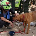 Caracas Unravels: The Quiet Collateral Damage of Chronic Decay