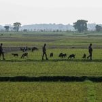 Border Games: India-Bangladesh Pact Conceals Migration Rancor Border Games: India-Bangladesh Pact Conceals Migration Rancor