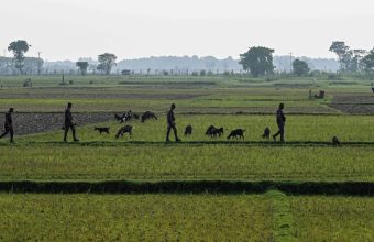 Border Games: India-Bangladesh Pact Conceals Migration Rancor