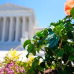 After Trump’s Campaign to Dismantle Mail-In Ballots, High Court Silences the Drums of War, For Now
