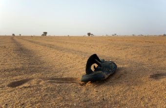 The Sahara’s Silent Harvest: A Truck, 49 Lives, and the Indifferent Sands