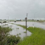 Edmonton Region Imposes Urgent Water Conservation Amid Wastewater Overload