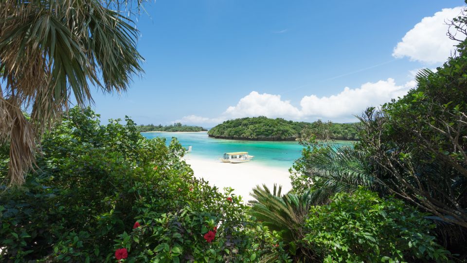 Beyond the Ticket Booth: Japan’s Tiny Isle, Asia’s Trembling Fault Lines