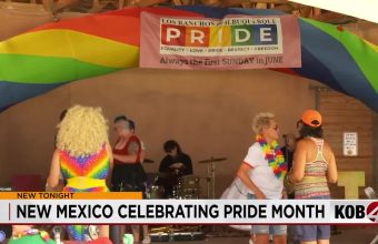 New Mexico Desert Blooms with Defiance and Solidarity: A Regional Identity Quest