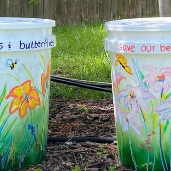 As Mosquito Season Intensifies, Canadians Turn to Social Media for Novel Pest Control