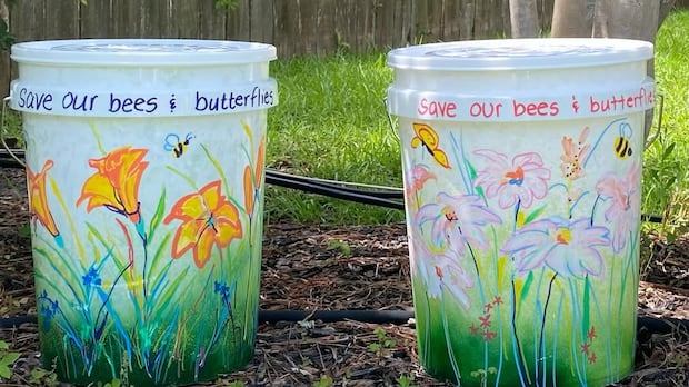 As Mosquito Season Intensifies, Canadians Turn to Social Media for Novel Pest Control