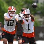 Gridiron Echoes: Hope’s Fragile Promise in a Cleveland Spring