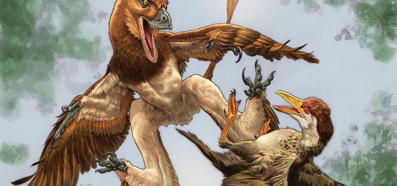 Ancient Wings, Modern Power Plays: China’s Dragon Reveals a Deeper Struggle