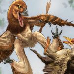 Ancient Wings, Modern Power Plays: China’s Dragon Reveals a Deeper Struggle