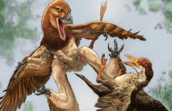 Shadow of the Dragon: Ancient China’s Feathered Menace Reconfigures Prehistoric Predation