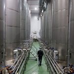 The Ghost in the Machine: French Factories Flicker Amidst European Gloom The Ghost in the Machine: French Factories Flicker Amidst European Gloom