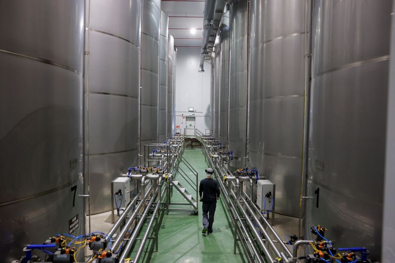 The Ghost in the Machine: French Factories Flicker Amidst European Gloom