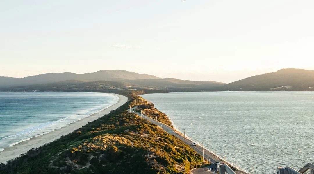 Tasmania’s ‘Wild’ Brand: A Policy Quandary Between Pristine Past and Global Future