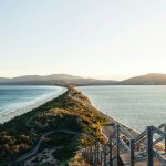 Tasmania’s ‘Wild’ Brand: A Policy Quandary Between Pristine Past and Global Future