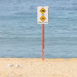 Sydney’s Sapphire Shores Struck Silent: Tourism Economy Fights Ominous Undertow