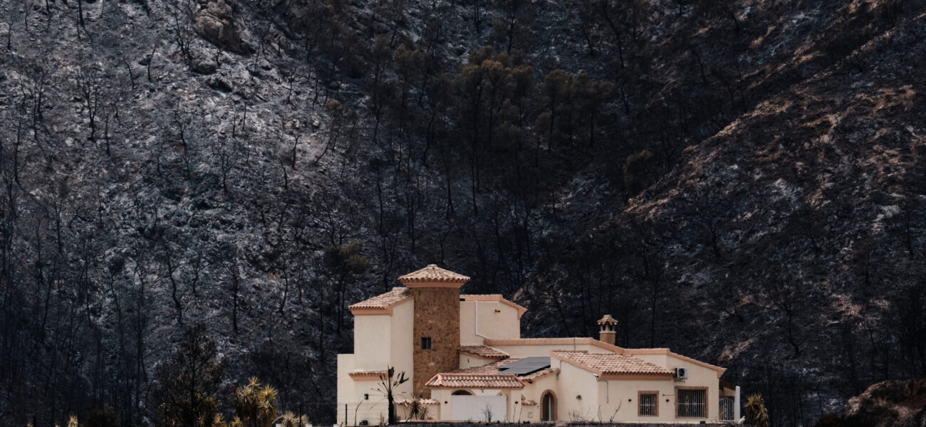 Ashes to Names: Spain’s Fire Reveals Deeper Fractures in Urban Fringe