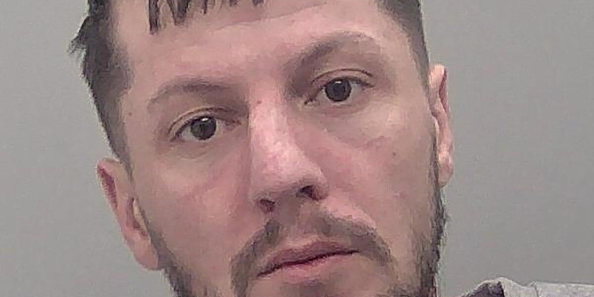 Driver Jailed for Nearly 10 Years After Fatal Hit-and-Run of 89-Year-Old Man
