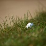 Florida’s Fairways: Unexpected Battleground for Global Diplomacy?