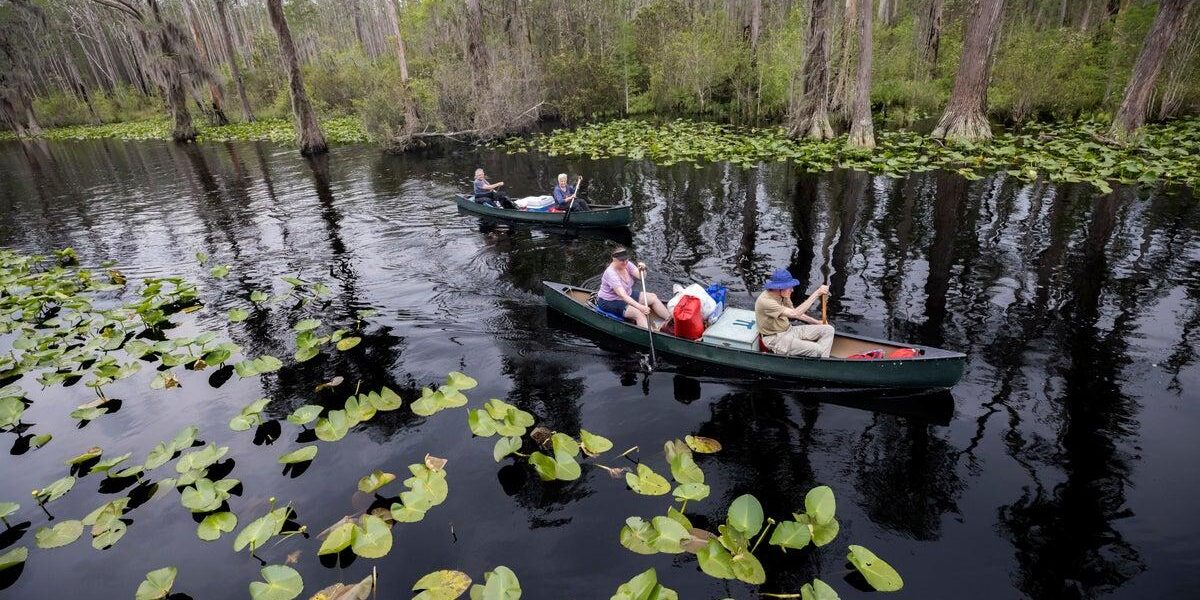 Georgia’s Okefenokee Swamp Among New UNESCO World Heritage Sites