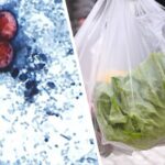 The Unseen Predator: Cyclospora’s Global Reach Undermines Consumer Confidence