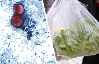 The Unseen Predator: Cyclospora’s Global Reach Undermines Consumer Confidence