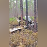 Paradise Grounded: Bahamas Crash Fells Artists, Exposes Regulatory Fractures Paradise Grounded: Bahamas Crash Fells Artists, Exposes Regulatory Fractures