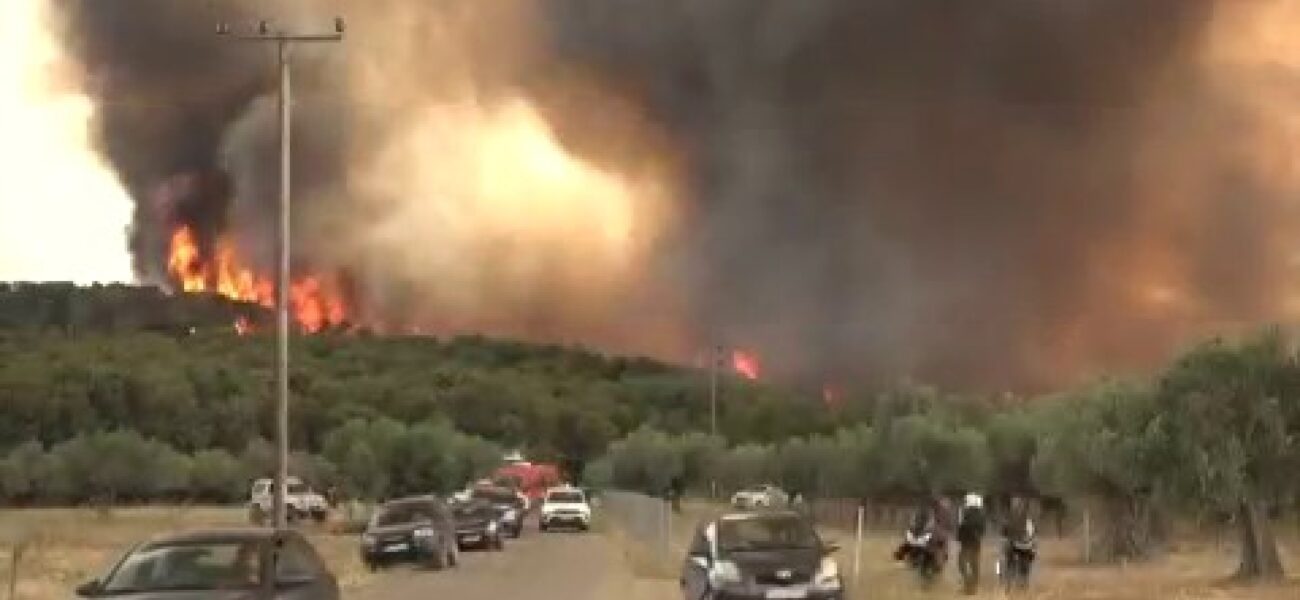 Europe Burns, Forests Fall: A Continental Climate Reckoning Ignites Policy Alarms