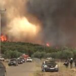 Europe Burns, Forests Fall: A Continental Climate Reckoning Ignites Policy Alarms Europe Burns, Forests Fall: A Continental Climate Reckoning Ignites Policy Alarms
