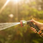 UK Implements Strict Hosepipe Ban Amid Water Scarcity Crisis UK Implements Strict Hosepipe Ban Amid Water Scarcity Crisis