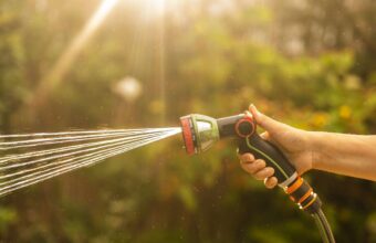 UK Implements Strict Hosepipe Ban Amid Water Scarcity Crisis