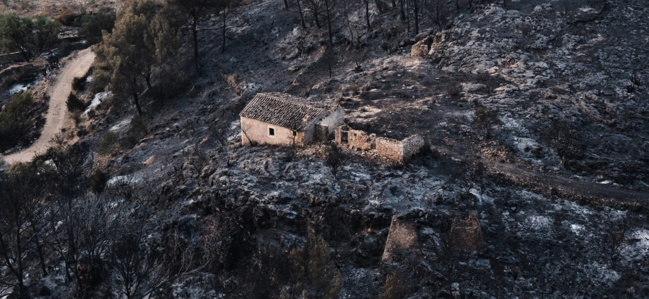 Spain’s Inferno Echoes Global Climate Desperation Amidst Tragic Loss