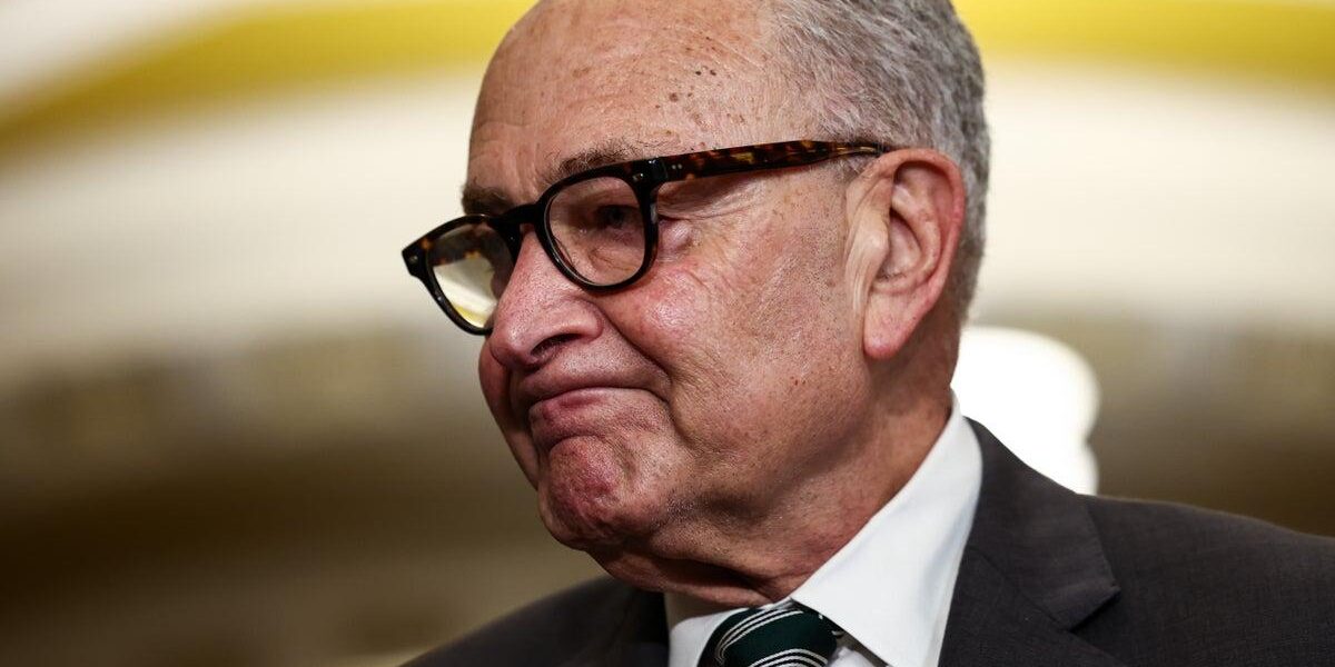 Democrats Face Financial and Ideological Challenges Ahead of Midterm Elections