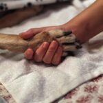 Oregon Veterinarian Sues AI Firm Over Dog’s Misdiagnosed Cancer Oregon Veterinarian Sues AI Firm Over Dog’s Misdiagnosed Cancer
