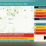 Toxic Turquoise: New Mexico’s Latest ‘Map’ Unveils a Deeper Environmental Rot