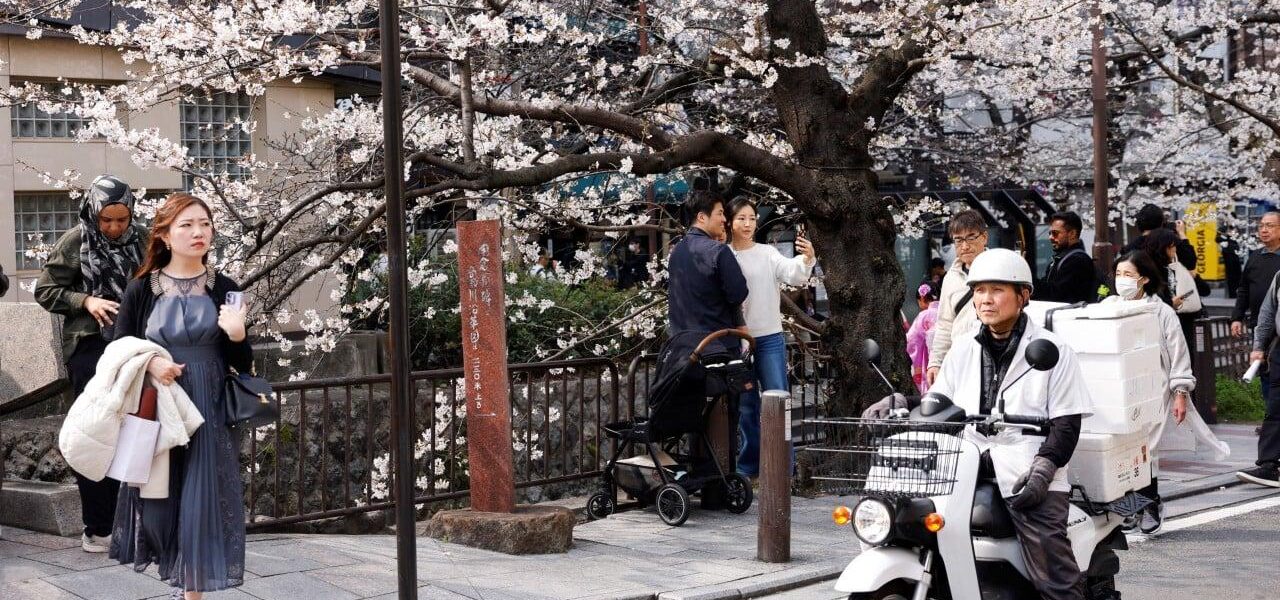 Kyoto Overtourism Crisis: Chinese Tourists Unjustly Blamed Despite Sharp Decline in Arrivals