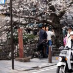 Kyoto Overtourism Crisis: Chinese Tourists Unjustly Blamed Despite Sharp Decline in Arrivals Kyoto Overtourism Crisis: Chinese Tourists Unjustly Blamed Despite Sharp Decline in Arrivals