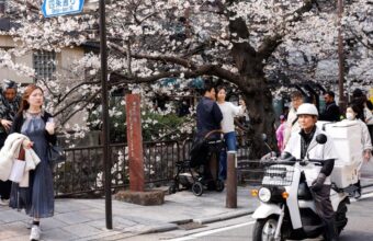 Kyoto Overtourism Crisis: Chinese Tourists Unjustly Blamed Despite Sharp Decline in Arrivals