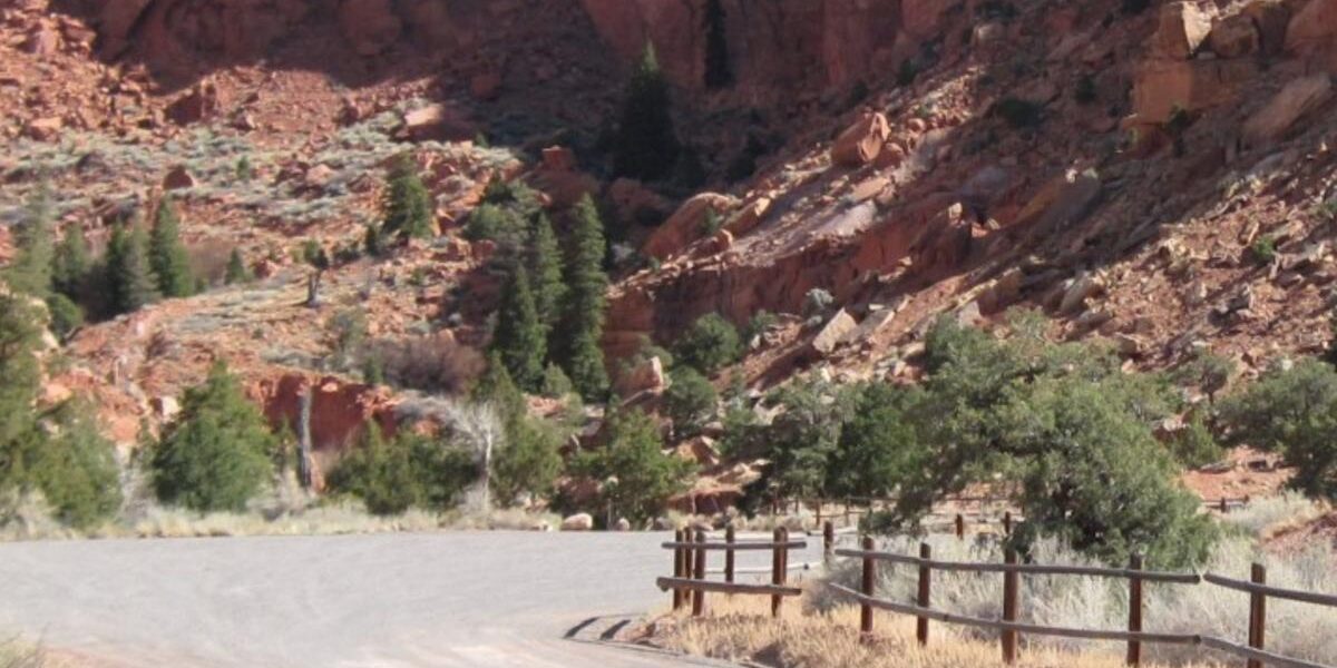 Family of Five Perish in Sudden Utah Flash Flooding