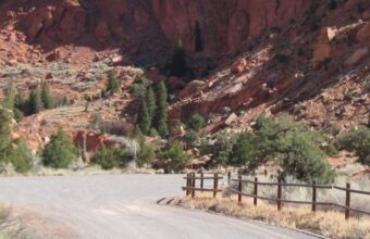 Family of Five Perish in Sudden Utah Flash Flooding