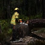 Europe’s Fiery Futures: Portugal’s Early Plea Exposes Regional Fragilities Europe’s Fiery Futures: Portugal’s Early Plea Exposes Regional Fragilities