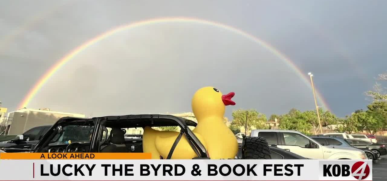 From Rubber Duck to Global Balm: How Albuquerque’s Quirky Mascot Ignites Conversations on Loss