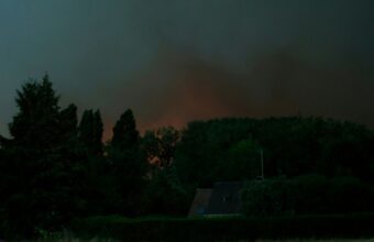 Europe’s Blazes: A Fading Forest, A Continent’s Deepening Climate Debt