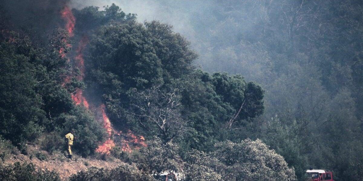 Evacuations Underway as Wildfires Ravage France’s Mediterranean Coast