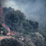 Evacuations Underway as Wildfires Ravage France’s Mediterranean Coast Evacuations Underway as Wildfires Ravage France’s Mediterranean Coast