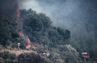 Evacuations Underway as Wildfires Ravage France’s Mediterranean Coast